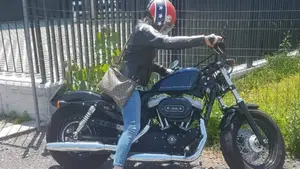 Harley-Davidson 1200 Forty-Eight (2010 - 15)  (3)
