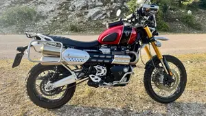 Triumph Scrambler 1200 XE Gold Line Edition (2021 - 22)  (2)