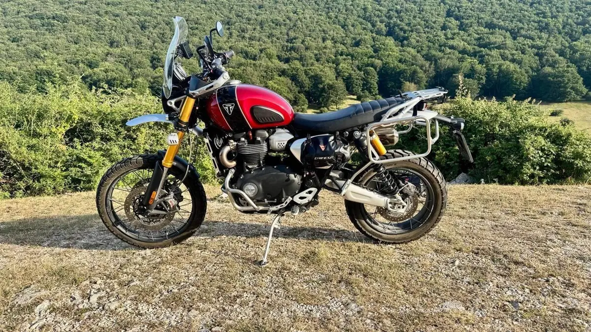 Triumph Scrambler 1200 XE Gold Line Edition (2021 - 22)  (3)