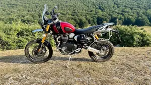 Triumph Scrambler 1200 XE Gold Line Edition (2021 - 22)  (3)