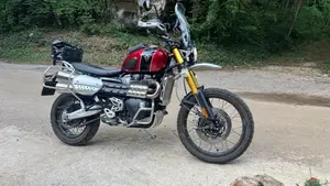 Triumph Scrambler 1200 XE Gold Line Edition (2021 - 22)  (5)