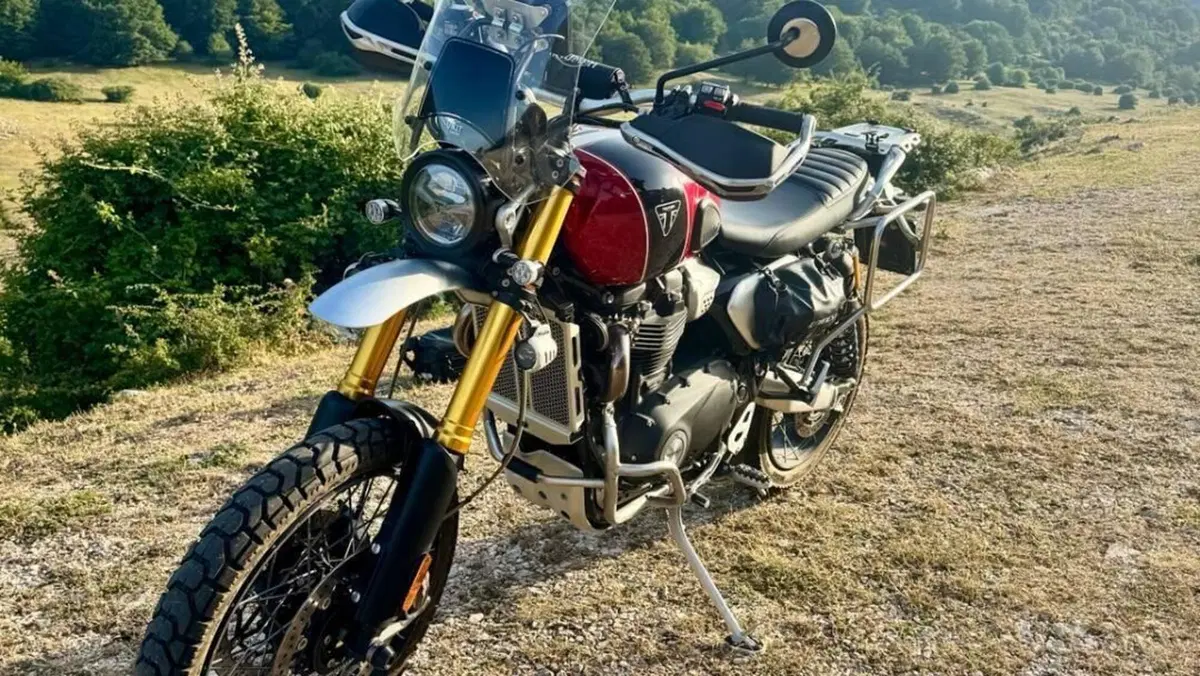Triumph Scrambler 1200 XE Gold Line Edition (2021 - 22)  (12)