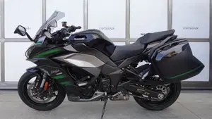 Kawasaki Ninja 1000 SX (2020)  (3)
