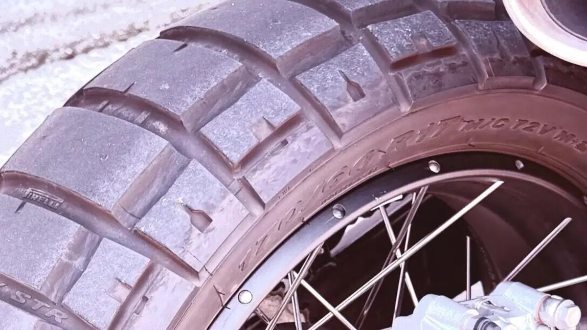 Benelli Leoncino 800 Trail (2022 - 26)  (5)