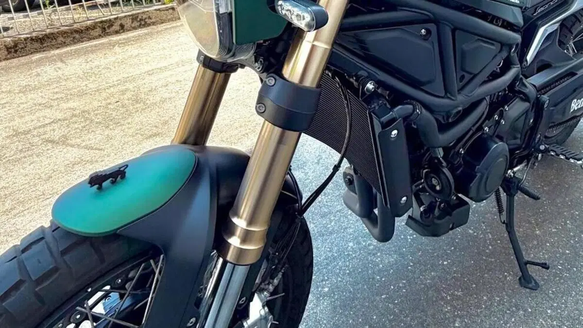 Benelli Leoncino 800 Trail (2022 - 26)  (8)