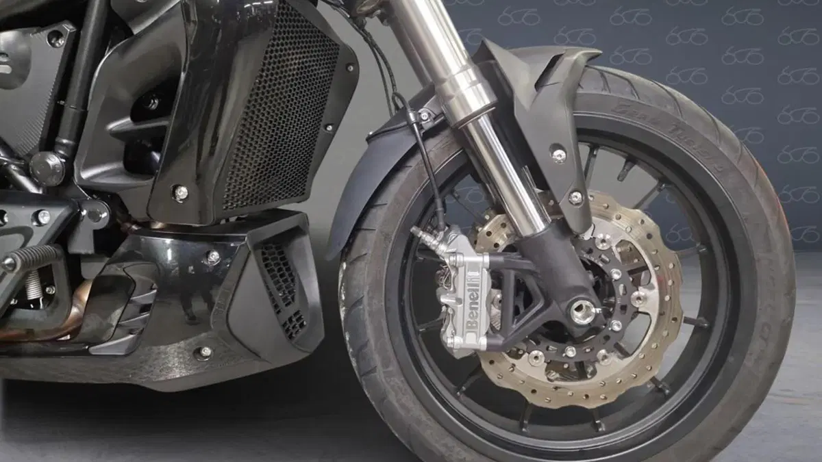 Benelli 502 C (2021 - 25)  (5)