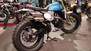 Fantic Motor Caballero 500 Scrambler (2024)  (4)
