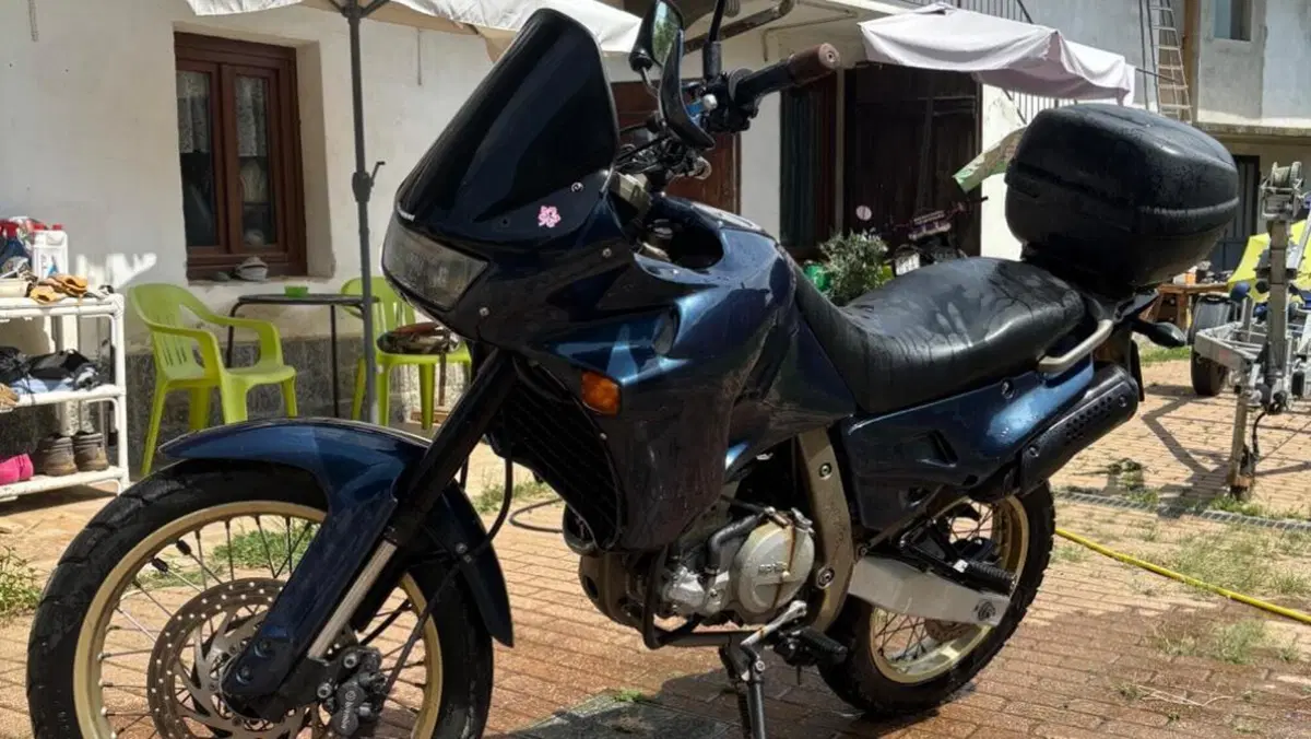 Aprilia Pegaso 650 (1991 - 96) 