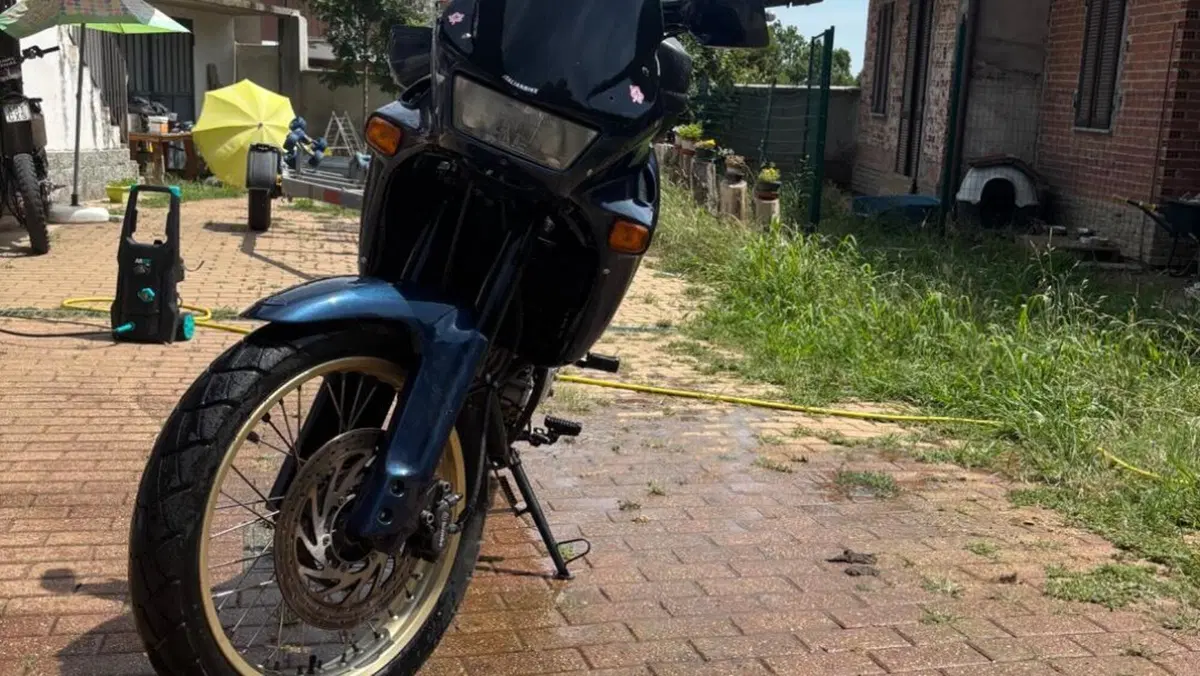 Aprilia Pegaso 650 (1991 - 96)  (5)