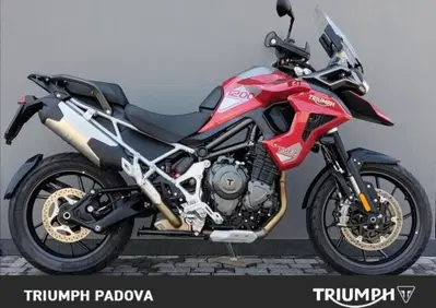Triumph Tiger 1200 GT Pro (2024 - 26) - Annuncio 10069416