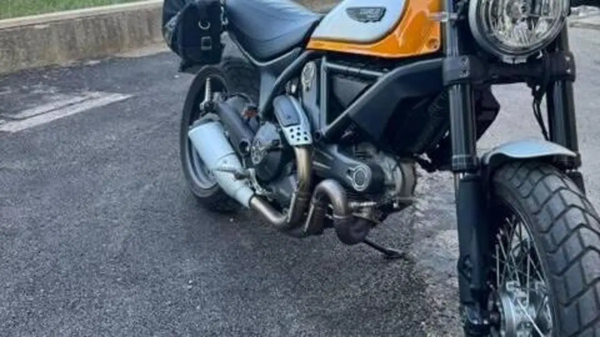 Ducati Scrambler 800 Classic (2015 - 16)  (4)