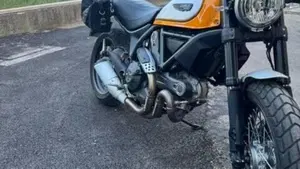Ducati Scrambler 800 Classic (2015 - 16)  (4)