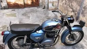 Bsa   (2)