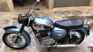 Bsa   (6)