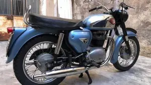 Bsa   (8)