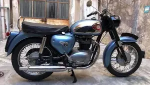 Bsa   (9)