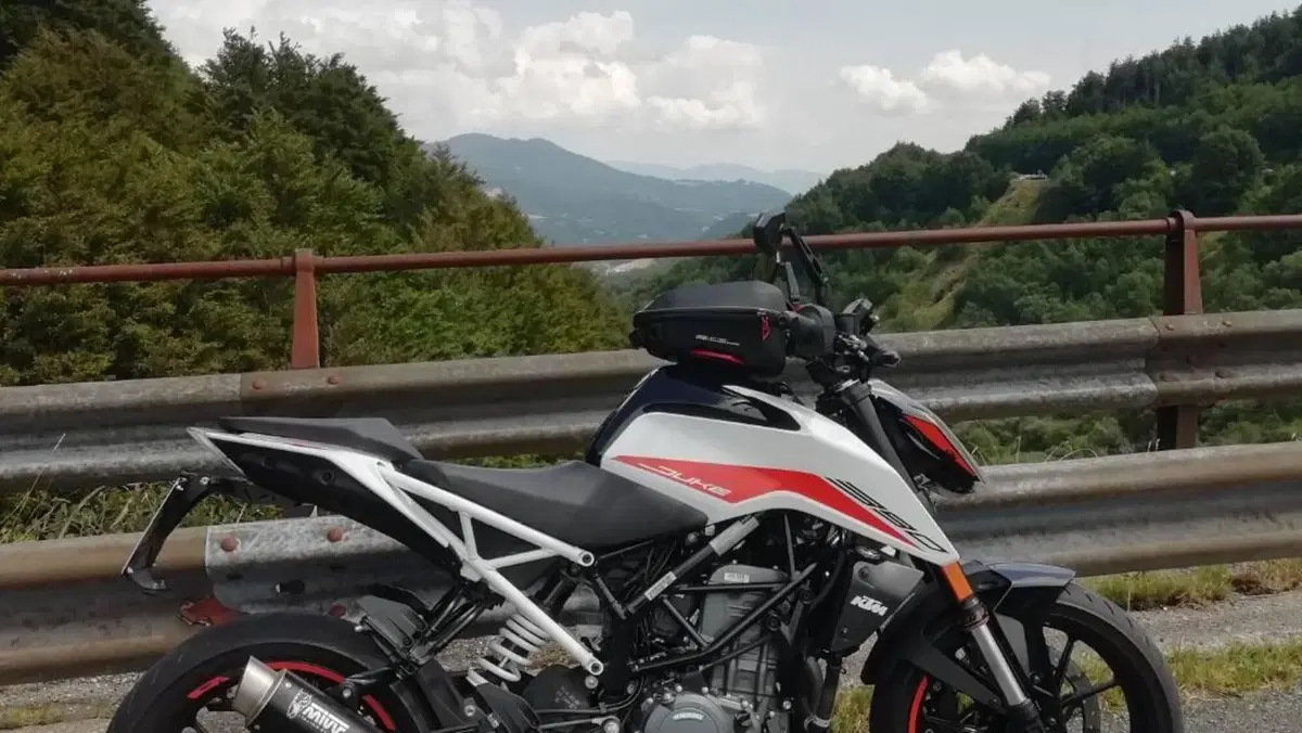 KTM 390 Duke (2021 - 23)  (2)