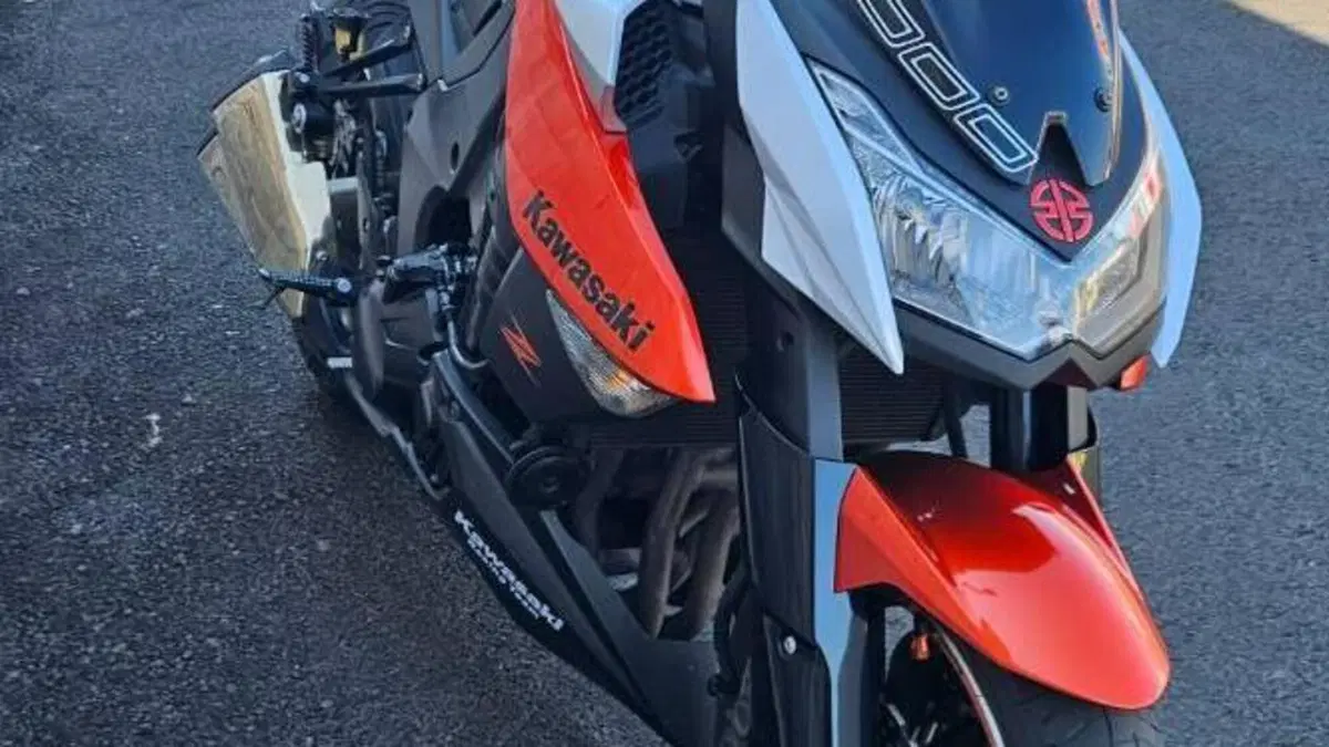 Kawasaki Z 1000 (2010 - 13) 
