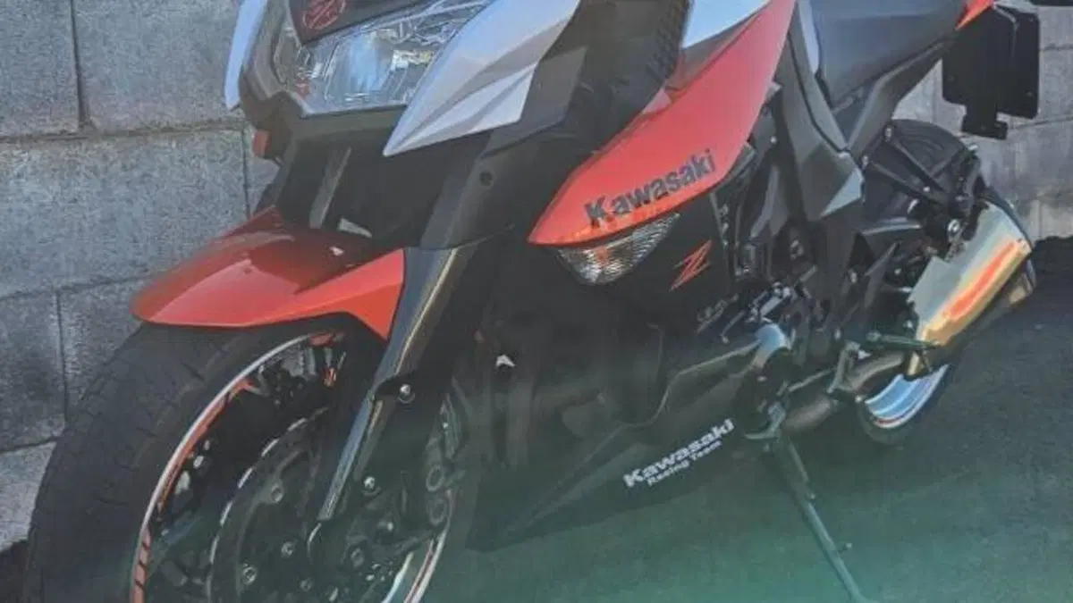 Kawasaki Z 1000 (2010 - 13)  (5)