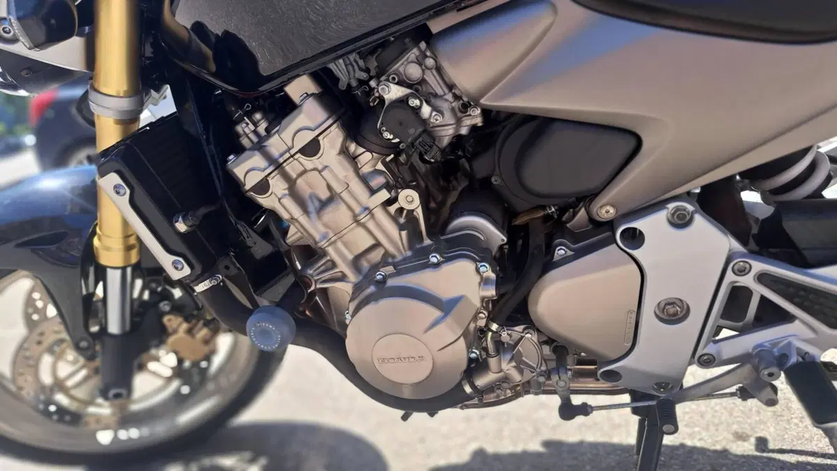 Honda Hornet 600 (2005 - 06)  (13)