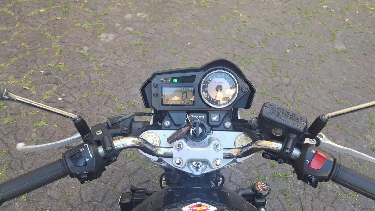 Honda Hornet 600 (2005 - 06)  (14)