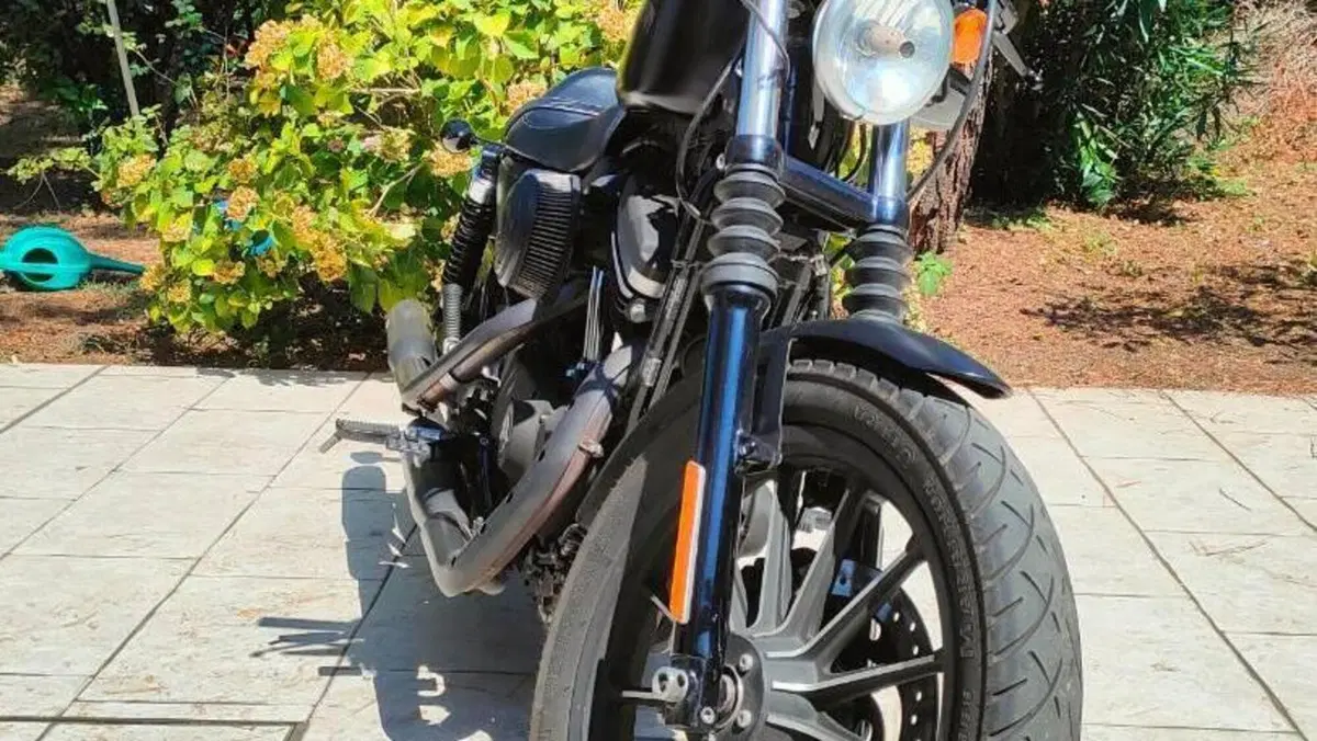 Harley-Davidson 883 Iron (2014 - 16) - XL 883N  (2)