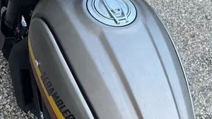 Ducati Scrambler 800 Urban Enduro (2015 - 16)  (8)