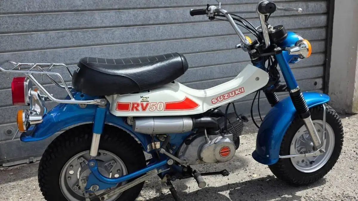 Suzuki   (2)