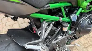 Kawasaki Z 900 (2025 - 26)  (4)