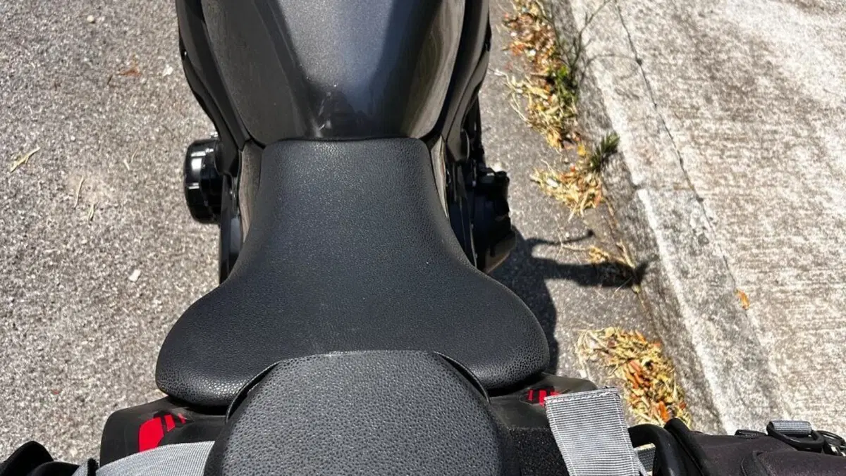 Kawasaki Z 900 (2021 - 24)  (2)
