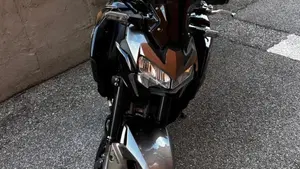 Kawasaki Z 900 (2021 - 24)  (9)