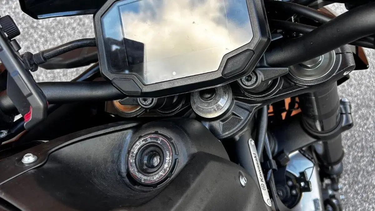 Kawasaki Z 900 (2021 - 24)  (11)
