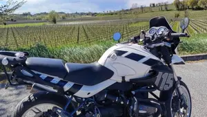 Bmw R 1150 R Rockster (2003 - 06)  (4)