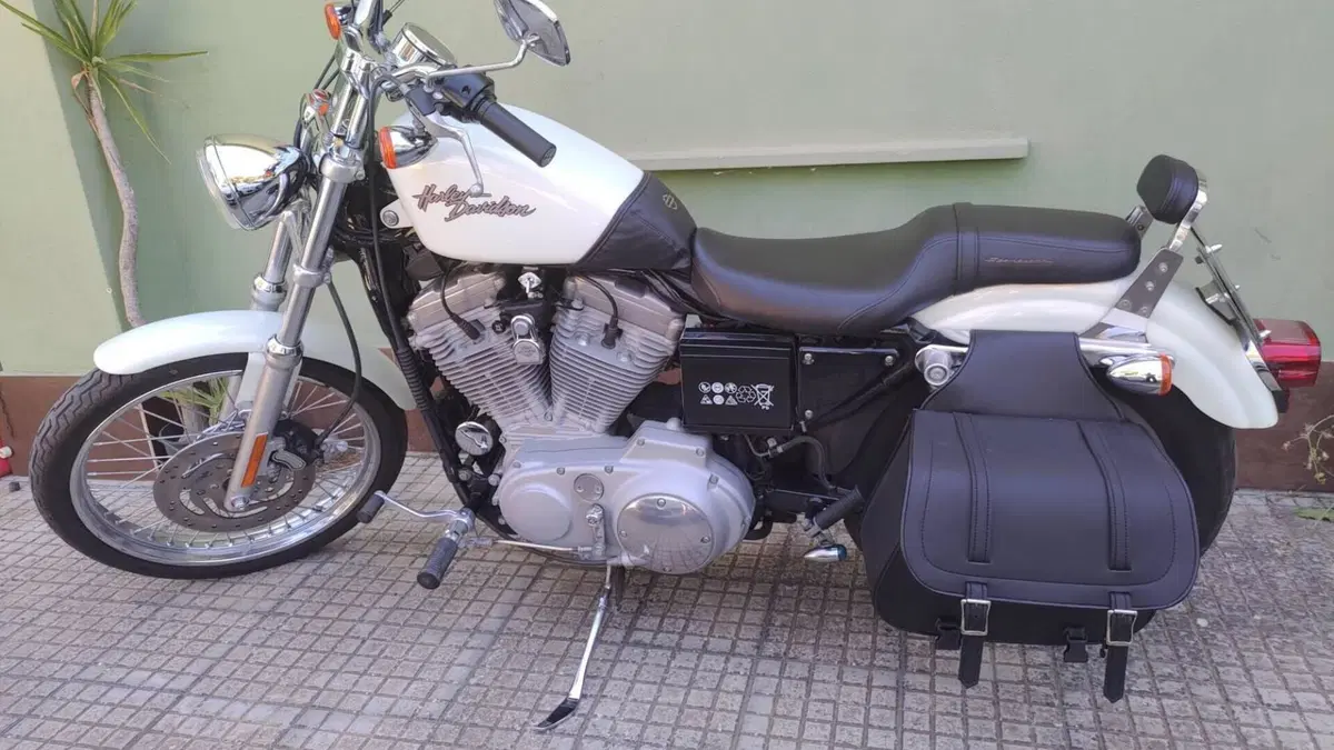 Harley-Davidson 883 Custom (2001 - 05) - XL 53C  (2)