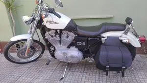 Harley-Davidson 883 Custom (2001 - 05) - XL 53C  (2)