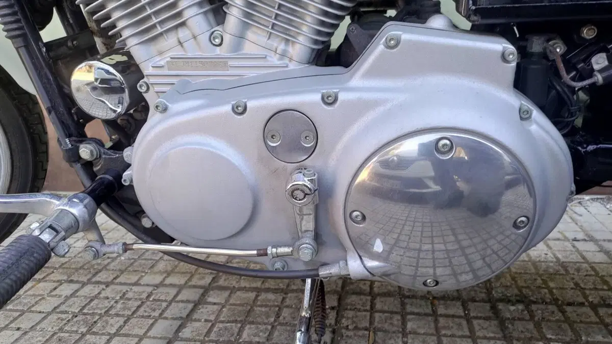 Harley-Davidson 883 Custom (2001 - 05) - XL 53C  (3)