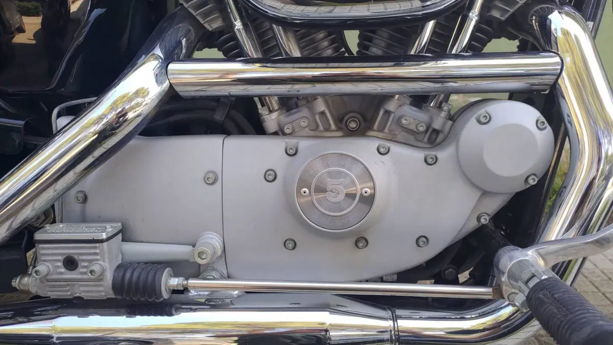 Harley-Davidson 883 Custom (2001 - 05) - XL 53C  (4)