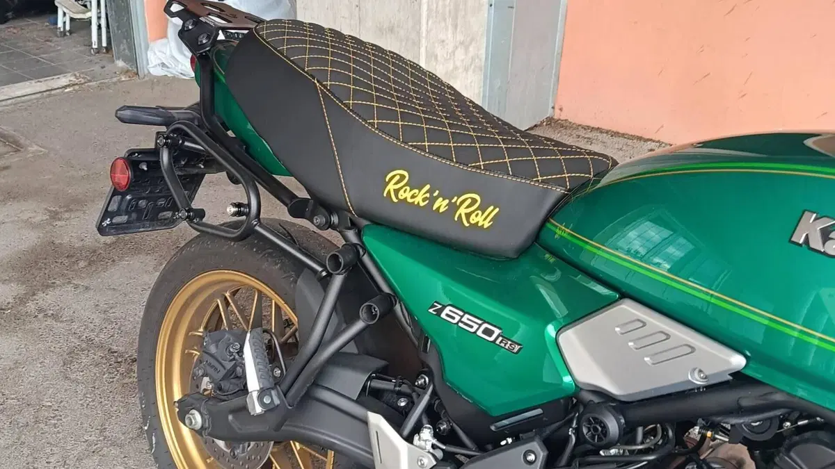 Kawasaki Z 650 RS (2022 - 24)  (3)