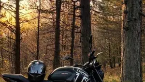 Triumph Trident 660 (2021 - 24) 