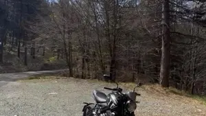 Triumph Trident 660 (2021 - 24)  (2)