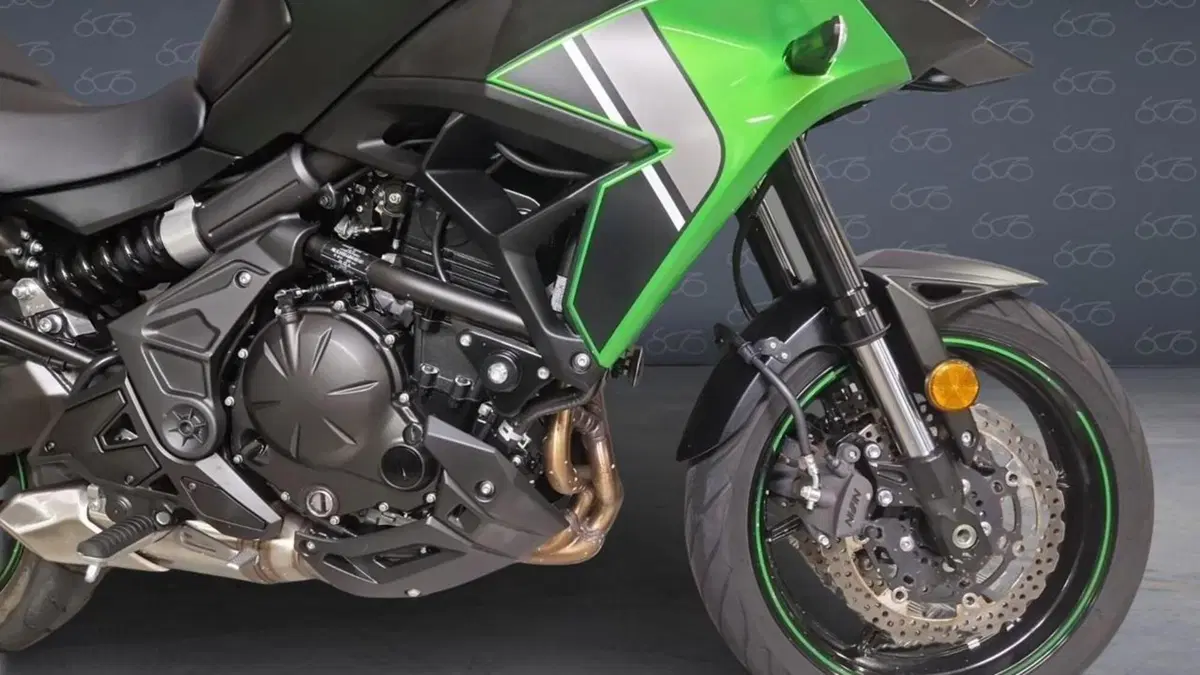 Kawasaki Versys 650 Tourer (2022 - 24)  (5)