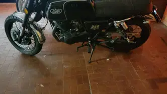 Mash Italia Black Seven 250 (2017 - 20) usata