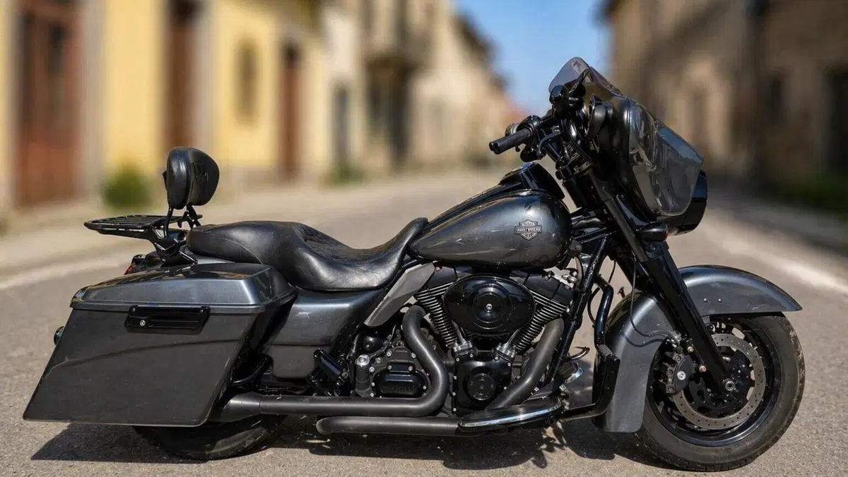 Harley-Davidson 1584 Street Glide (2007) - FLHX  (2)