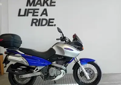 Suzuki XF 650 Freewind (1997 - 03) - Annuncio 10070025
