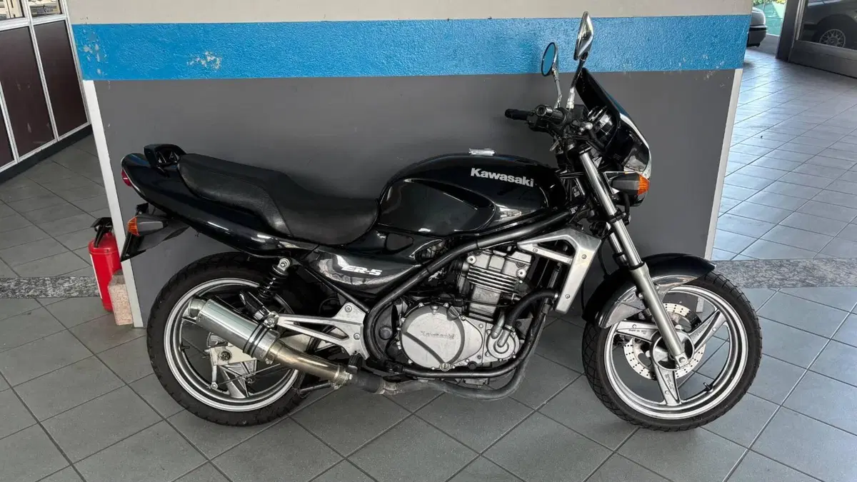 Kawasaki ER-5 500 (1996 - 00) 