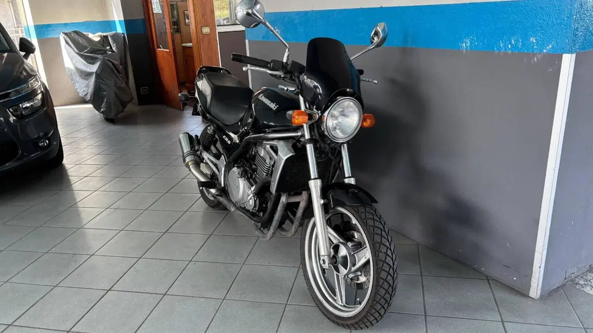 Kawasaki ER-5 500 (1996 - 00)  (4)