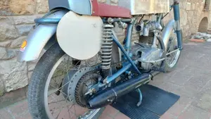 Ducati   (4)