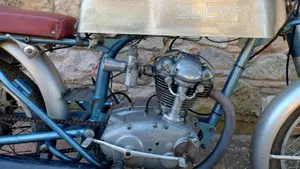 Ducati   (5)