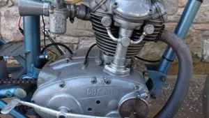 Ducati   (8)
