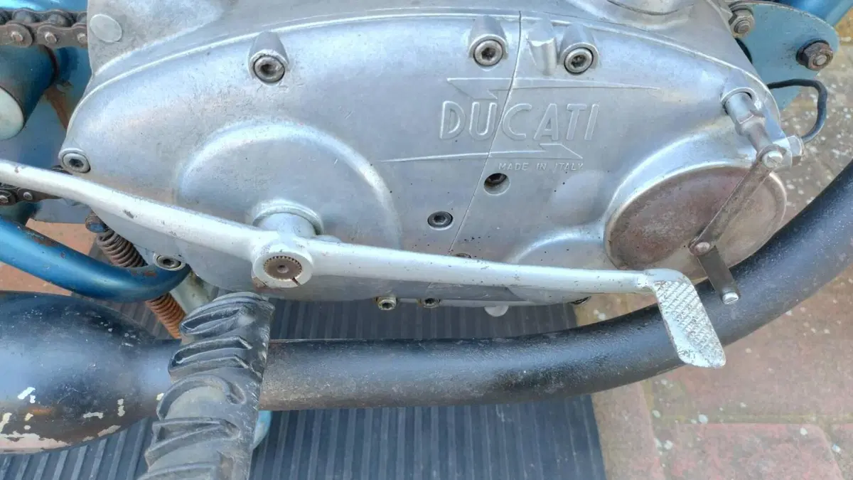 Ducati   (9)
